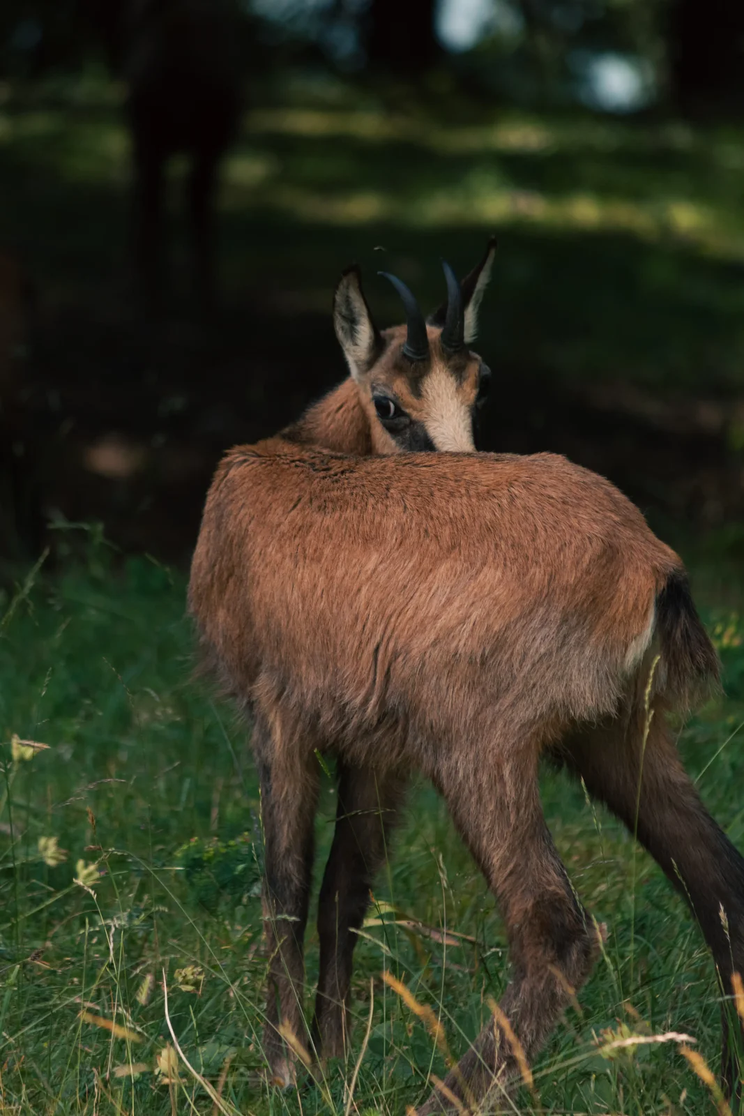 nature photography by JRMGraphy